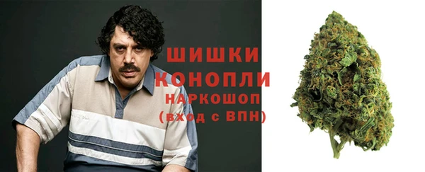 ГАЛЛЮЦИНОГЕННЫЕ ГРИБЫ Лабытнанги